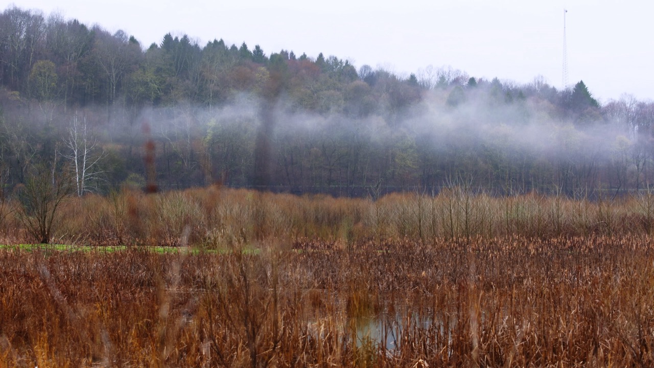 Still_14_foggy lakebed Large