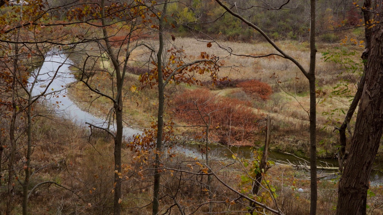 Still_7_creek Large